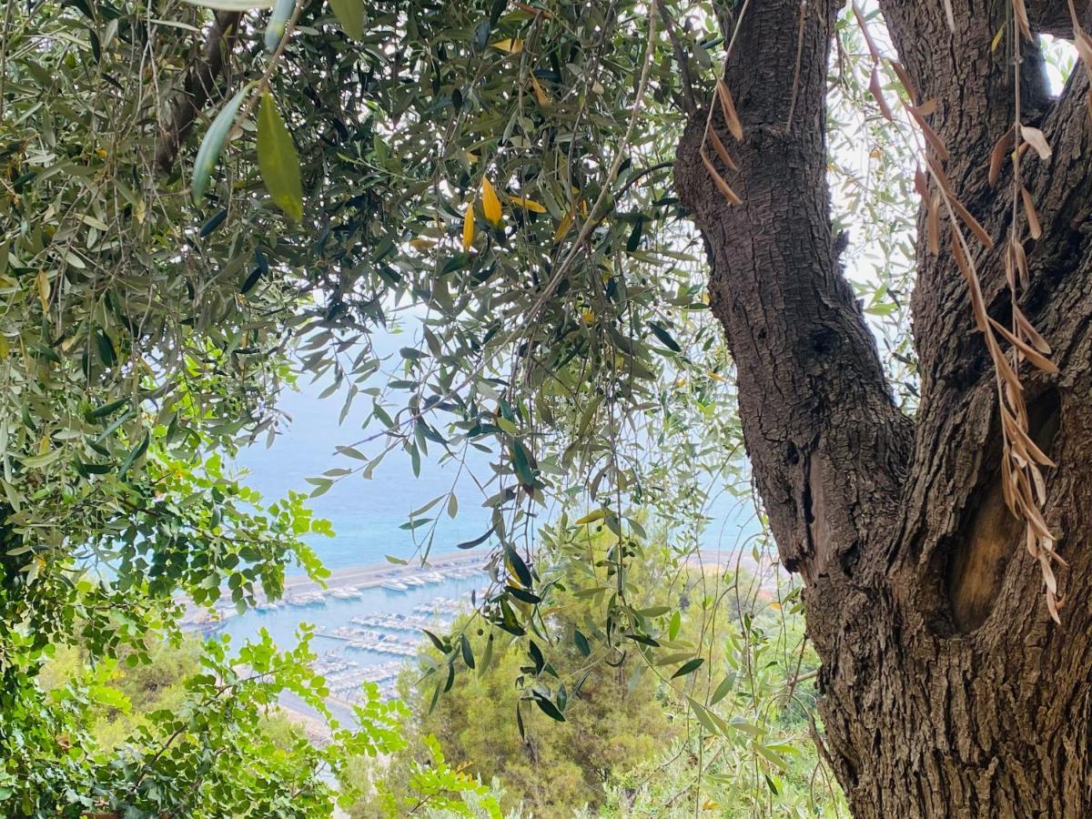 “Da Senso” Relax Nel Verde Vista Mare Finale Ligure Luaran gambar